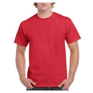 Men's Ultra Cotton Adult T-Shirt